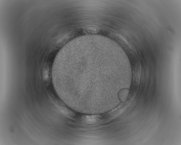 X0000111650134200908141300