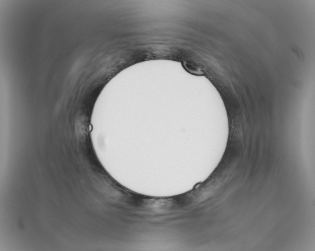 X0000111650135200908141300
