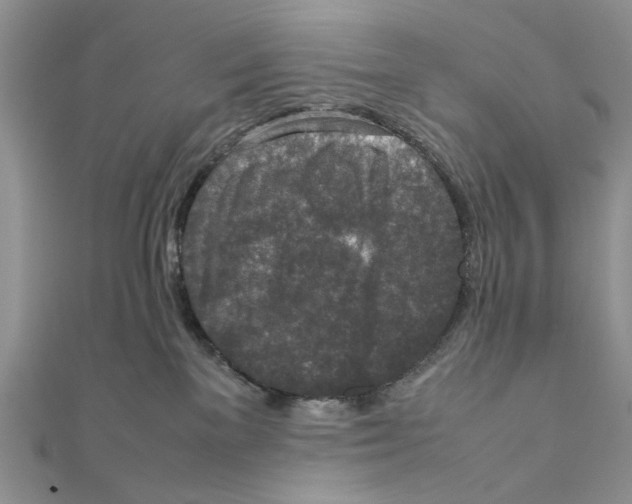 X0000111650137200908141300