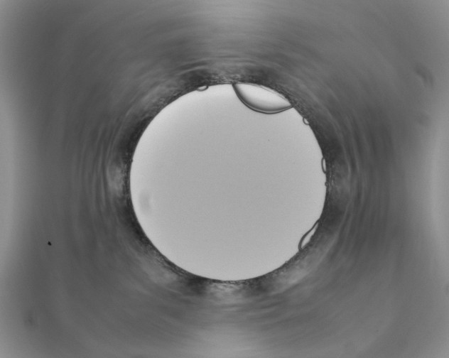 X0000111650139200908141300
