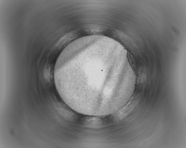 X0000111650140200908141300