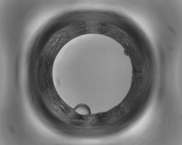 X0000111650143200908141300