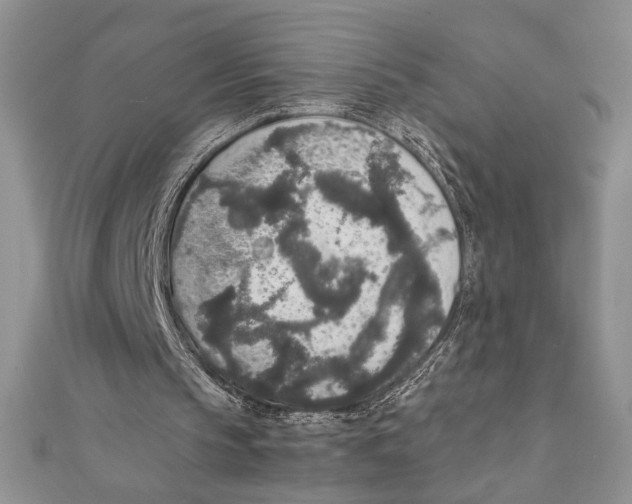 X0000111650145200908141259