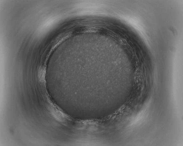 X0000111650146200908141259