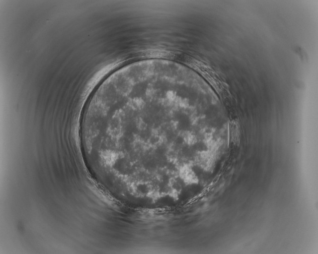 X0000111650147200908141259