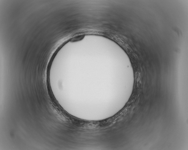 X0000111650148200908141259