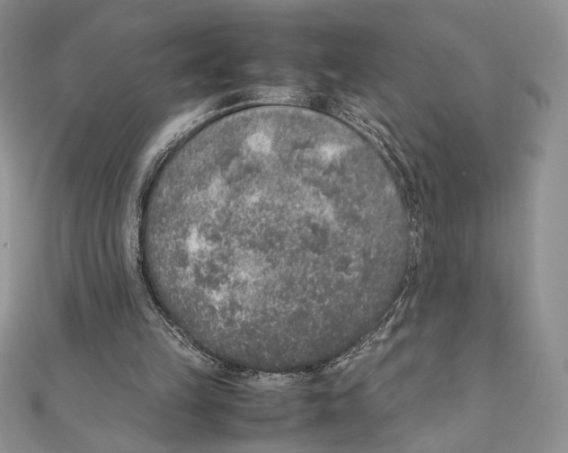 X0000111650149200908141259