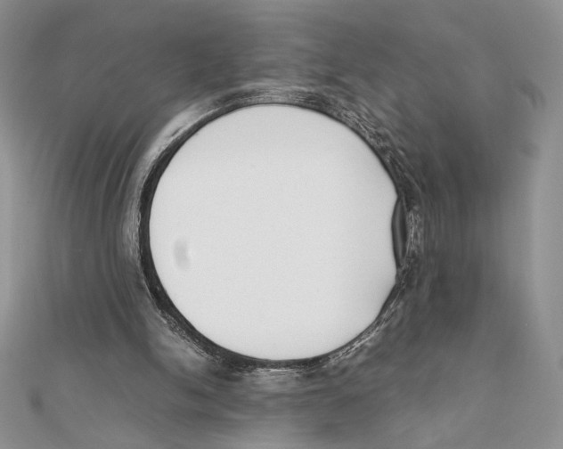 X0000111650150200908141259