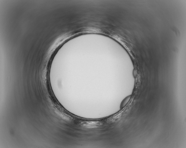 X0000111650151200908141259