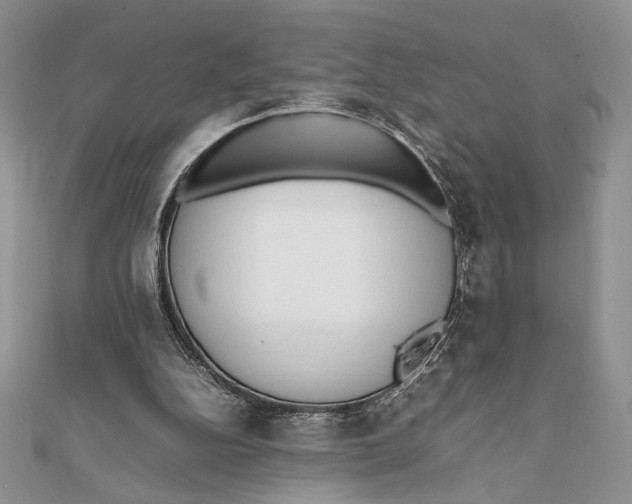 X0000111650152200908141259