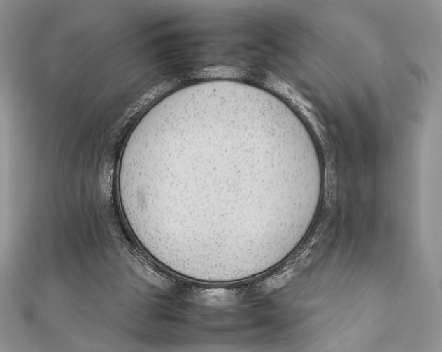 X0000111650153200908141259