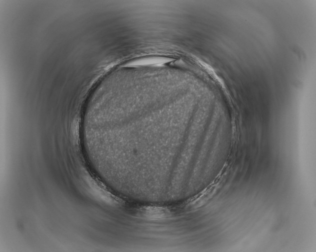 X0000111650154200908141259