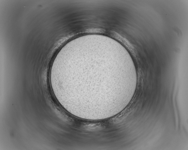 X0000111650155200908141259