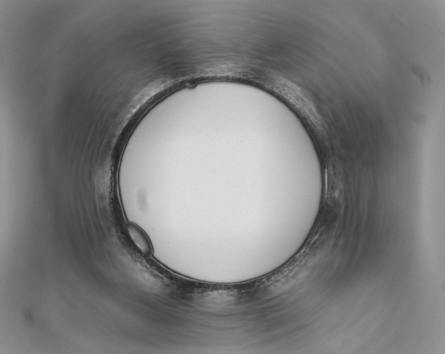 X0000111650156200908141259