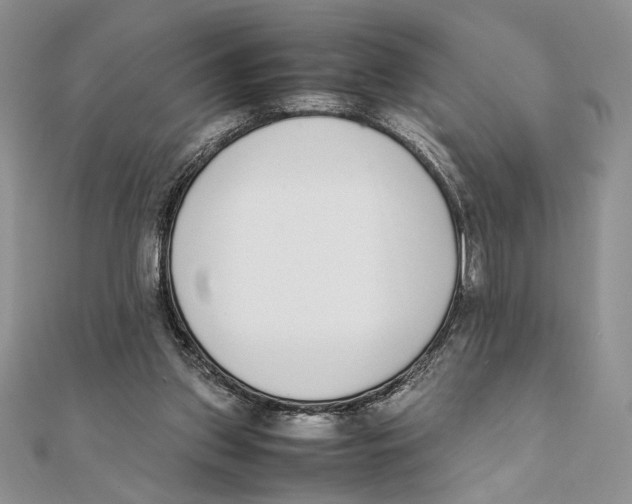 X0000111650157200908141259