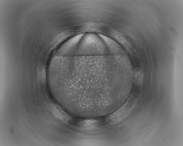 X0000111650158200908141259