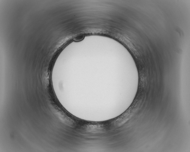 X0000111650160200908141300