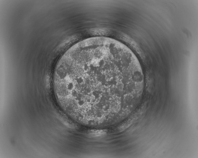 X0000111650161200908141300