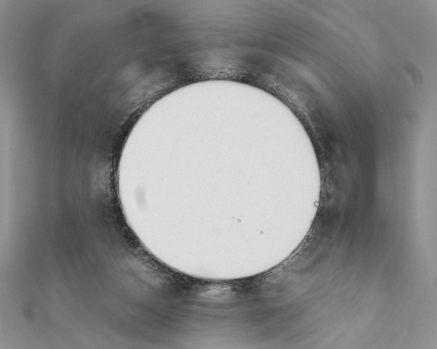 X0000111650162200908141300