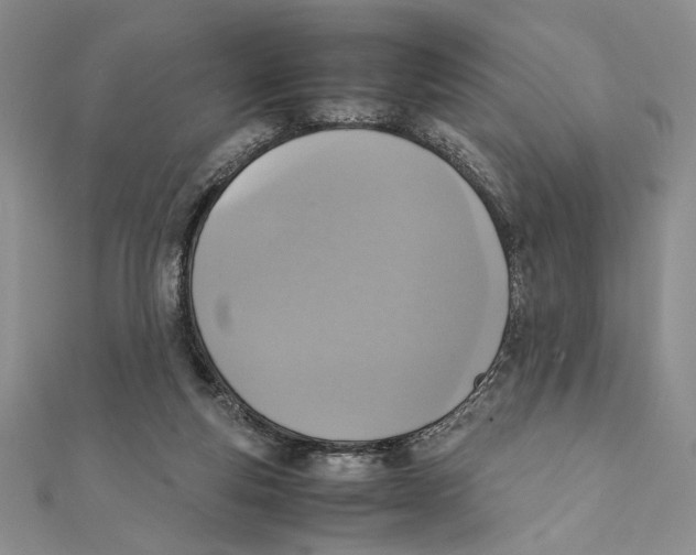 X0000111650163200908141300