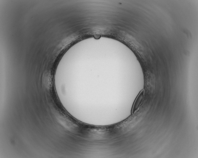 X0000111650164200908141300