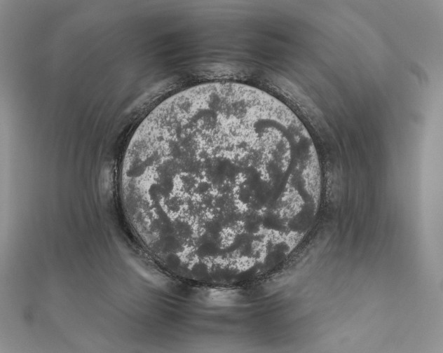 X0000111650165200908141300