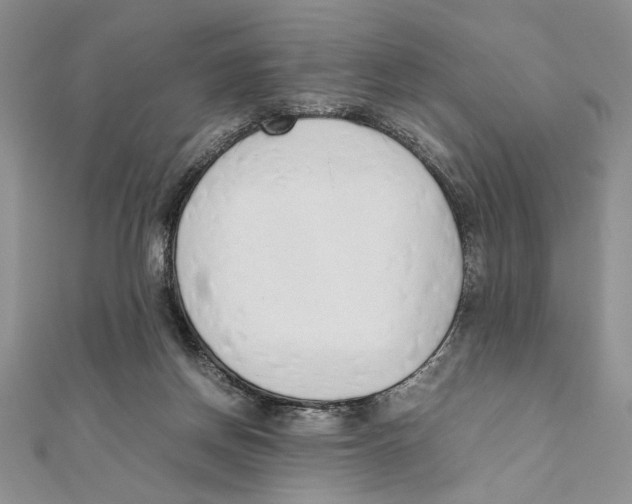X0000111650166200908141300