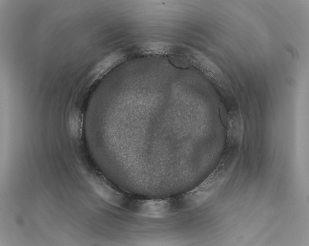 X0000111650168200908141300
