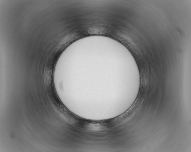X0000111650171200908141300