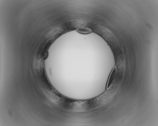 X0000111650172200908141300