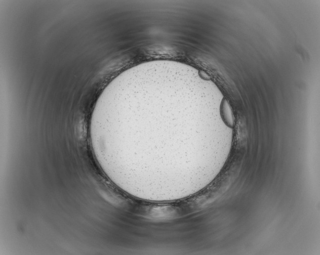 X0000111650173200908141300