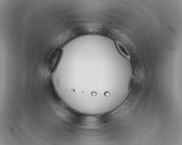 X0000111650176200908141300