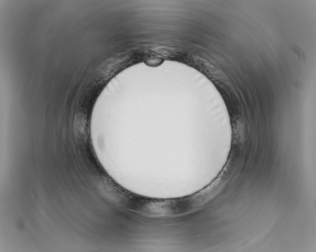 X0000111650178200908141300