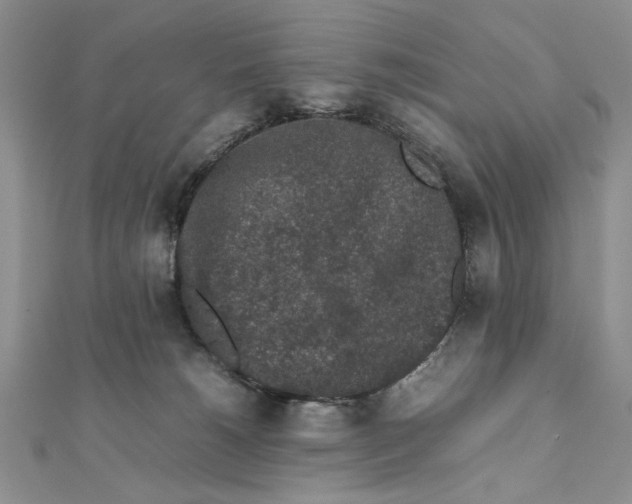 X0000111650180200908141300