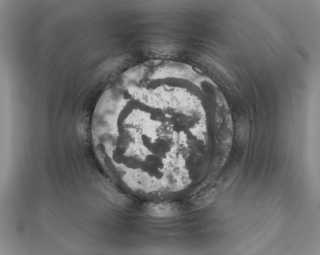 X0000111650181200908141300