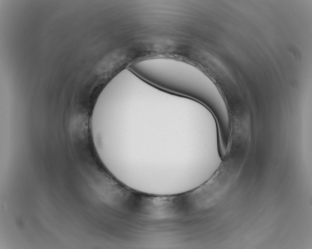 X0000111650184200908141300