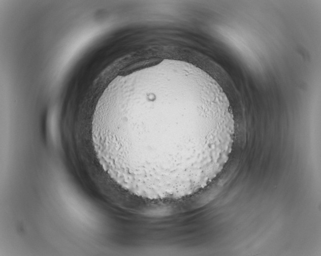 X0000111650189200908141300