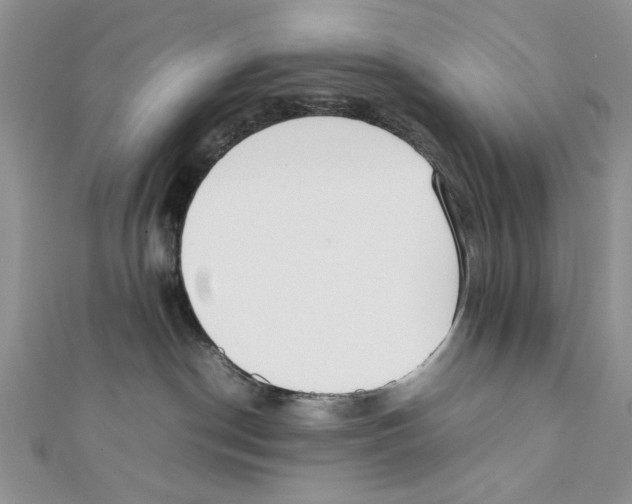 X0000111650190200908141300