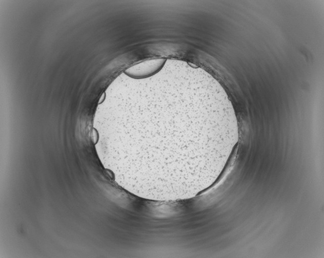 X0000111650191200908141300