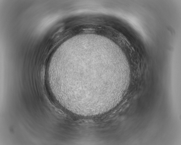 X0000111650194200908141259