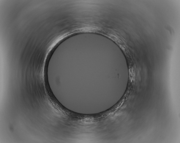 X0000111650196200908141259