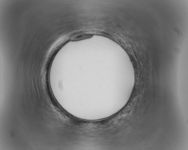 X0000111650197200908141259