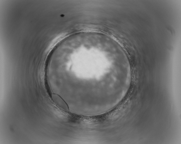X0000111650199200908141259