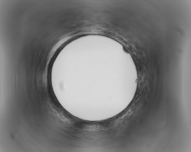 X0000111650200200908141259