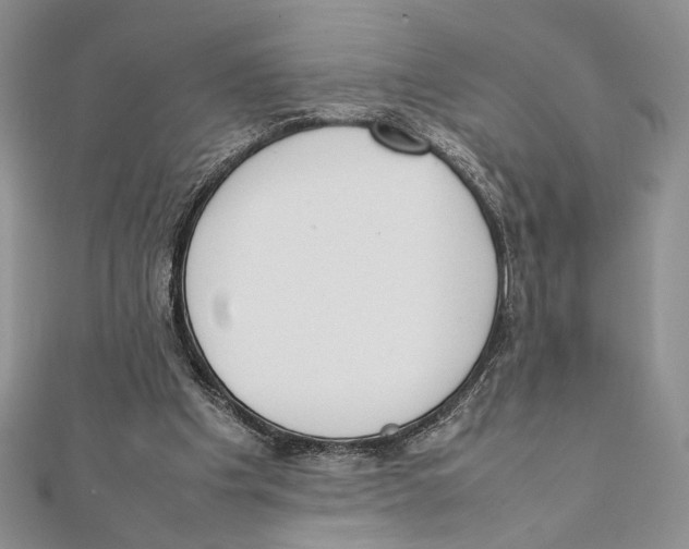 X0000111650201200908141259