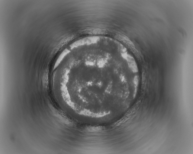 X0000111650202200908141259