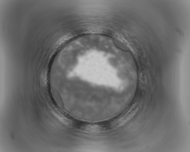 X0000111650203200908141259