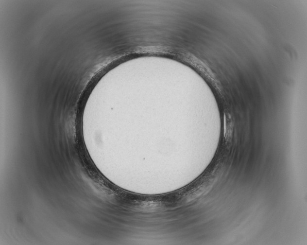X0000111650204200908141259