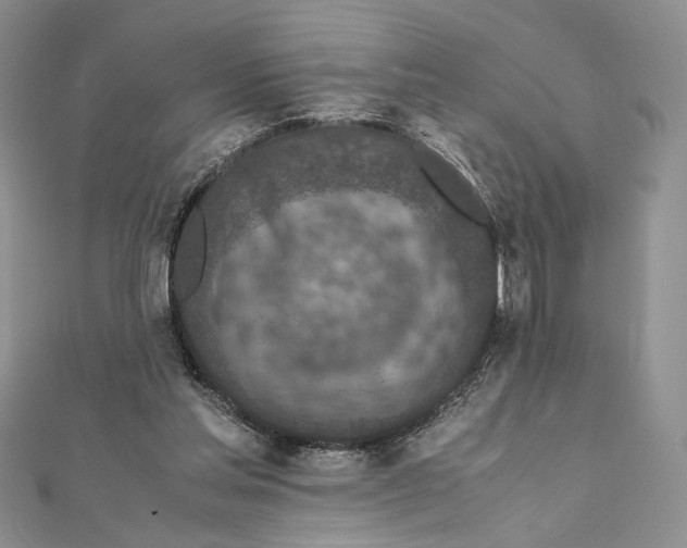 X0000111650205200908141259