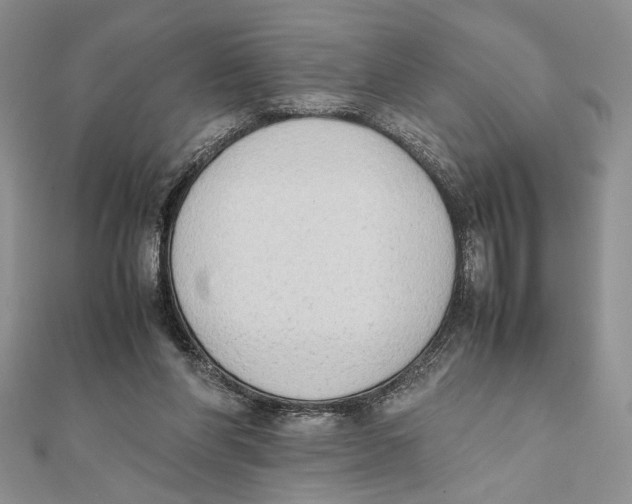 X0000111650206200908141259